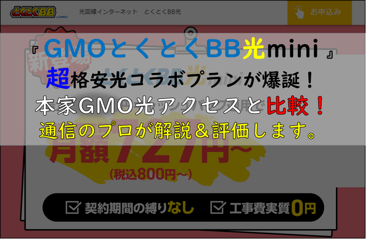GMOとくとくBB光mini
